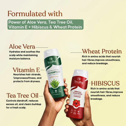 Shampoo & Conditioner Scalp-Shield Duo